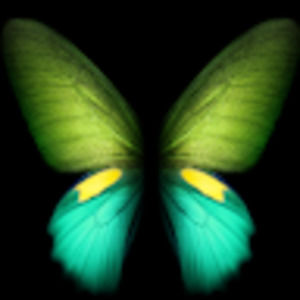 Meet your Posher, Veronica